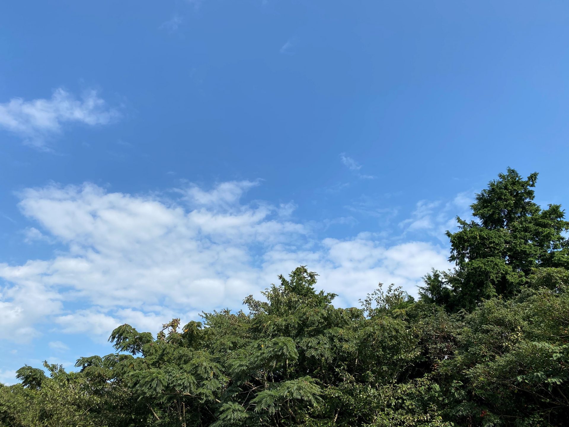 10月に入りました