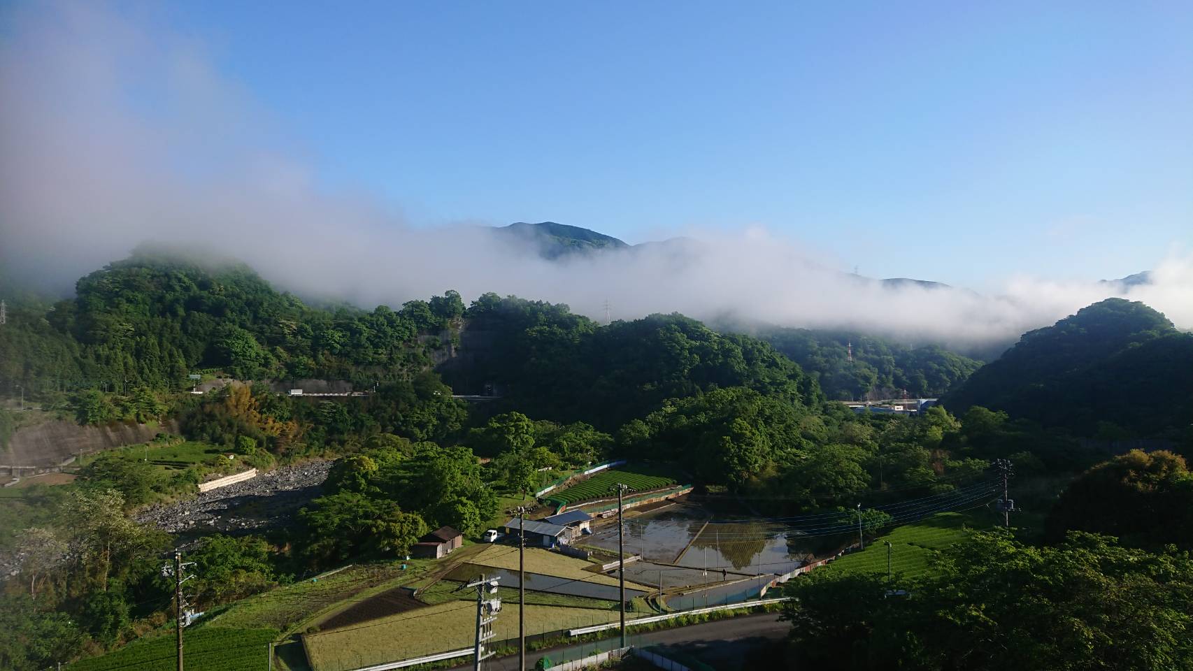 いよいよ梅雨です！