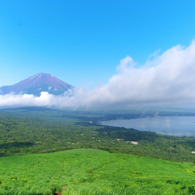 夏の富士山