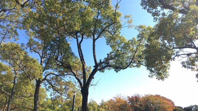 待ち望んでいた春