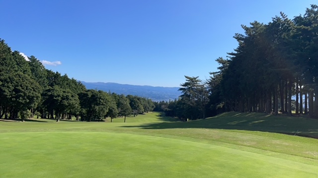 駿河湾望む晩秋